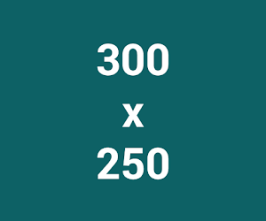 kich-thuoc-quang-cao-hien-thi-300-250